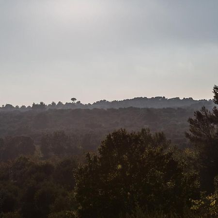לינה וארוחת בוקר אוסטוני Si Fa Trullo מראה חיצוני תמונה