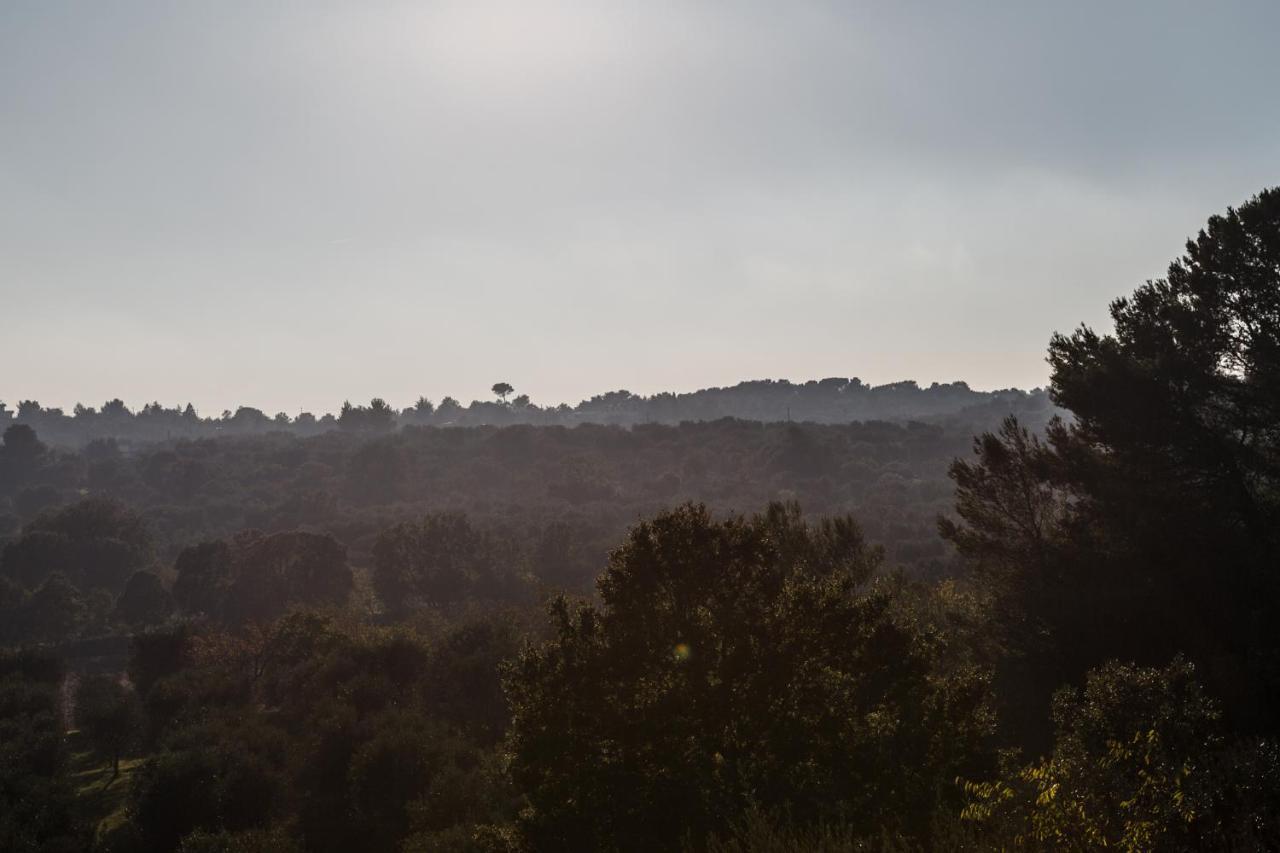 לינה וארוחת בוקר אוסטוני Si Fa Trullo מראה חיצוני תמונה